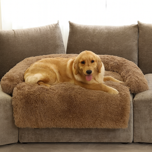 SleepyPup Serenity Sofa Bed